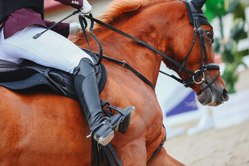 Show Jumping , influence of the rider on the horse. Volte on the course. Whip in hand close-up
