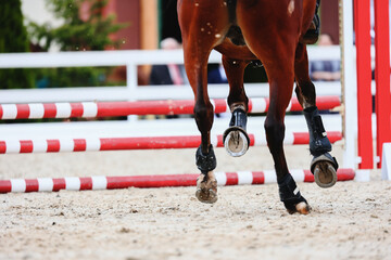 Horse pass the line to red obstacle. Equestrian sports details. Gallop of a dark tail bay horse....