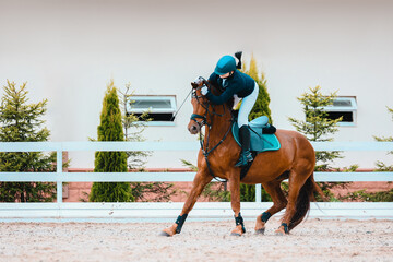 Falling from a horse to a speed and hardiness competition. Riders elimination on show jumping....