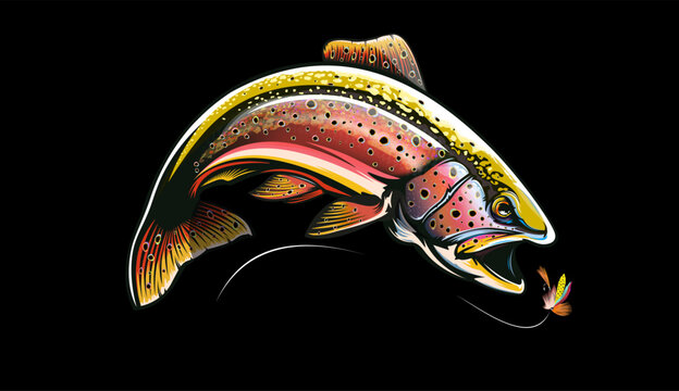 NOT AI. Rainbow trout jumping out of water. Salmon isolated on white background. Isolated handrawn  fishing logo vector .