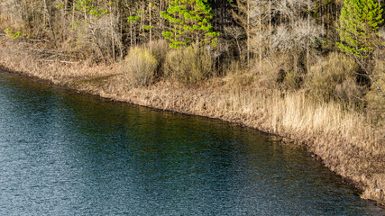 Spring scenery of Jingyuetan National Forest Park in Changchun, China
