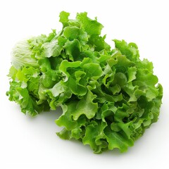 Fresh and crisp lettuce. Perfect for salads and sandwiches!