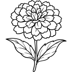 Marigold Flower outline illustration coloring book page design, Marigold Flower Bouquet black and white line art drawing coloring book pages for children and adults
