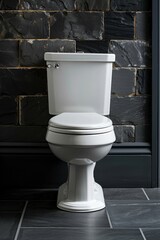 Modern Toilet Flushing from the Side Generative AI