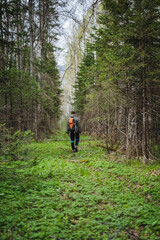 Individual with backpack strolling in woodland amidst trees and plants