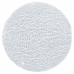 Melon skin texture close up. Round silhouette. Cracked peel structure. Vector monochrome black and white background