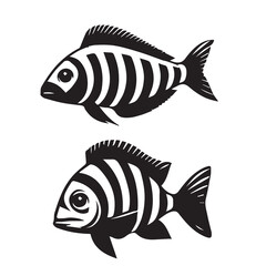 Different Zebra fish Bold Graphic Style Fish Cutout Shape Clip Art 