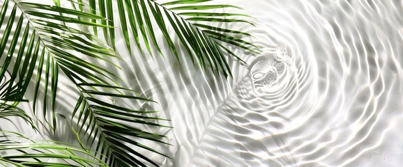 Tropical palm leaves on white background with water ripples, top view.