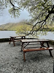 bench in the park near the river, Kylemore Abbey, Ireland
