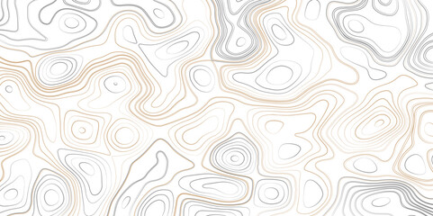 Seamless pattern with White sea map and topographic contours map background. Vector topographic map background. Business concept. Abstract vector illustration. 