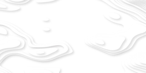 Abstract wavy line paper cut white background. Topographic canyon geometric map relief texture with curved layers and shadow. Abstract realistic papercut. Abstract paper carve template.