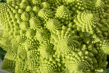 Romanesco broccoli (also known as broccolo romanesco, romanesque cauliflower, or simply romanesco) 