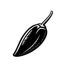 Red Chili pepper Vector illustration