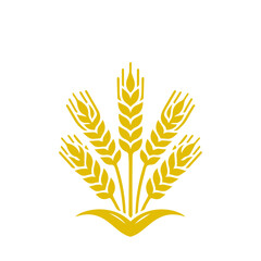 Wheat ear icon vector