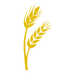 Wheat ear icon vector