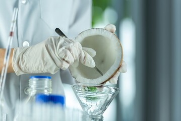 A gloved scientist carefully extracts the coconut water from a coconut using a glass pipette in a...