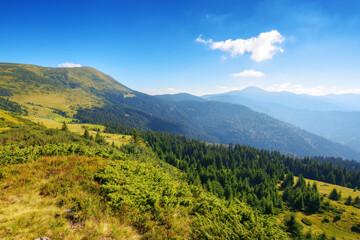 chornohora ridge of carpathian mountains in summer. steep forested slopes. bright sunny weather. popular travel destination of ukraine. petros and hoverla peaks in the distance