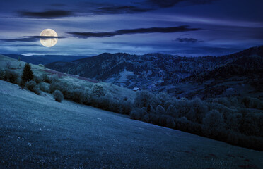 rural meadow in carpathian mountains at night. wonderful countryside scenery with forest on the...