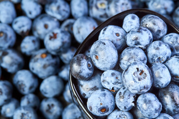 Close-up of Blueberries with water drops in a black bowl