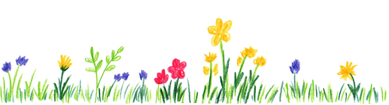 Set Child hand drawn drawing. Field, meadow, garden, different colorful flowers, grass.