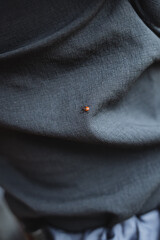 protection against ticks in the forest, fabric that is difficult for insects to bite through, a red small tick crawls on pants.