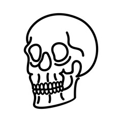 skull vector abstract stock flat graphic illustration with logo elements set,skull vector abstract stock flat graphic illustration with logo eleoutline art and silhouette,magic art in simple style for