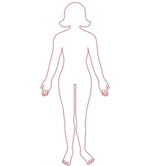 Fototapeta premium Drawing of the outline of the human body