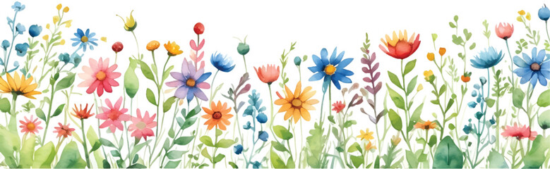 Wildflowers in watercolor illustration isolated on white background4