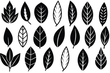 Doodle Leaves Collection Set vector design