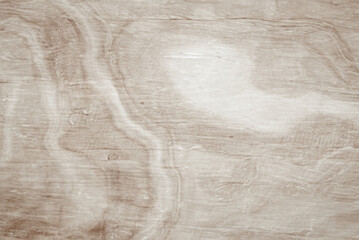 Natural Wood Texture Background, Abstract Pattern from Tree
