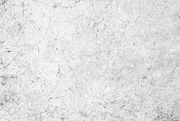 Grunge Concrete Wall Texture in White and Grey Colors