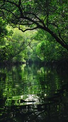 Fototapeta premium Tranquil lagoons surrounded by lush mangrove forests