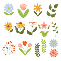 Botanical set with flowers, leaves, plants. Cute Sprung and Summer Flower Collection, Daisy, Tulips, Chamomile, Berries, Leaves. Hand-drawn colorful vector illustration with texture