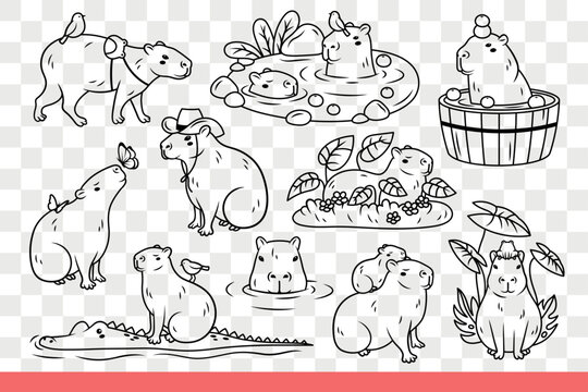 Copybara animal sits on grass and swims in river or rides crocodile. Set for holiday copybara day on july 10 with funny animals sea pigs living in swampy tropical area. Hand drawn doodle