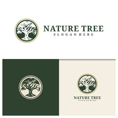 Tree logo design vector. Nature trees vector illustration. Oak tree logo concept