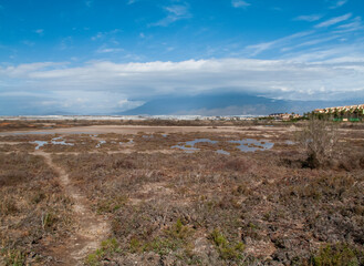 Paraje Natural Punta Entinas-Sabinar, catalogado como Espacio Natural Protegido. Roquetas de Mar, Almería, Andalucía, España.