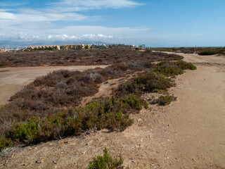 Paraje Natural Punta Entinas-Sabinar, catalogado como Espacio Natural Protegido. Roquetas de Mar, Almería, Andalucía, España.