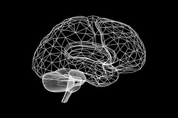 Brain Surgery Contour Illustration, Detailed Human Organ, Medical Education