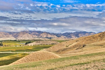 Obraz premium New Zealand