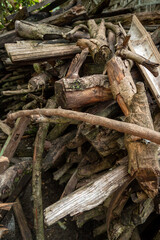 pile of firewood