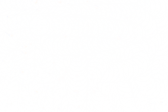 Real falling snow on a transparent background.