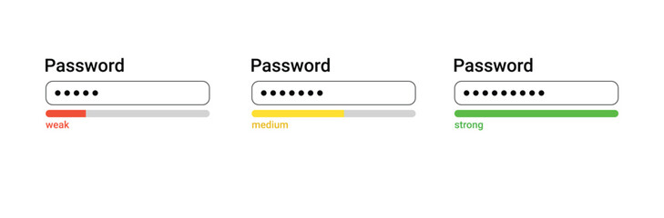 Password weak, medium, strong interface. Password website template. Digital security bar interface
