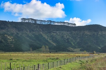 Naklejka premium New Zealand