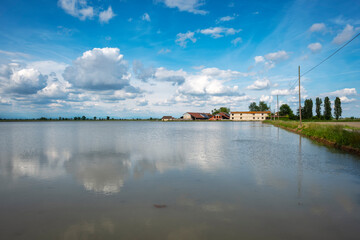 Naklejka premium Springtime panorama of paddy fields, flooded by water, in the countryside area of Novara and Vercelli Provinces.
