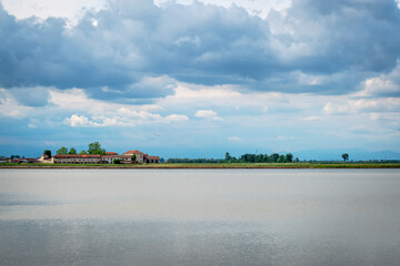 Springtime panorama of paddy fields, flooded by water, in the countryside area of Novara and Vercelli Provinces.