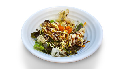 Japanese Katsu Salad with Mixed Greens