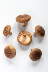 Raw shiitake mushrooms on a white board