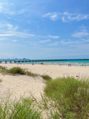 landscape on a sandy beach by the sea