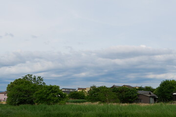 田舎の初夏の風景