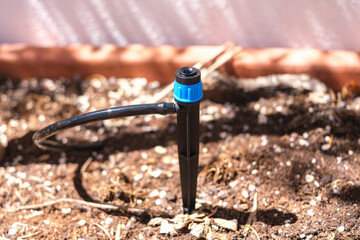 A garden hose attached to a garden bed for watering plants in a backyard setting.